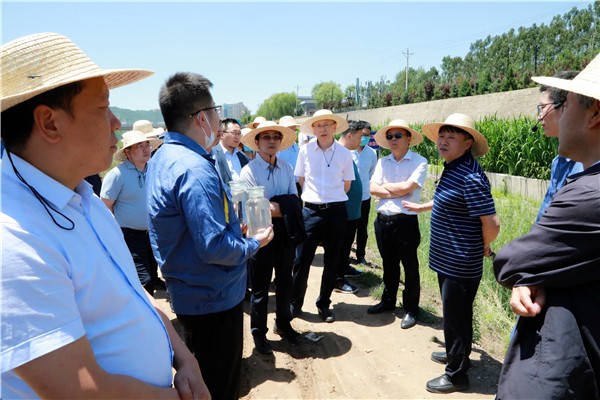 陜西環保集團復工復產促增長項目觀摩會議與會人員走進環保保隆生態三秦在延在銅項目